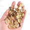 Natural Yellow Quartz Healing Stones, Oval Stones, Pocket Palm Stones for Reiki Balancing, 15~20mm, 50g/set