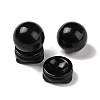 Natural Obsidian Display Decorations DJEW-G032-02F-2