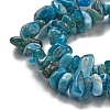 Natural Apatite Beads Strands X-G-F666-01B-02-01-4