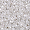 (Repacking Service Available) Glass Seed Beads SEED-C020-4mm-141-2