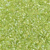 MIYUKI Delica Beads Small X-SEED-J020-DBS0174-3