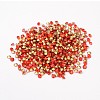 Back Plated Grade A Diamond Glass Pointed Rhinestone RGLA-SS6-019-2