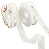2 Rolls 2 Styles Chiffon Lace Trim for Sewing Decoration OCOR-CY0001-65B-1
