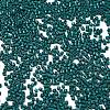 Baking Paint Glass Seed Beads X-SEED-S042-05B-67-3