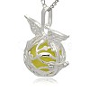 Silver Color Plated Brass Cage Pendants KK-J213-12S-3