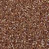 MIYUKI Delica Beads SEED-MY11-DB1241-3