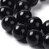 Natural Obsidian Beads Strands G-G099-10mm-24-6