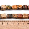 Natural Picasso Stone/Polychrome Jasper Beads Strands G-B155-D10-5