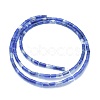 Natural Sodalite Beads Strands G-F631-B09-2