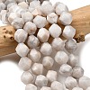 Natural Crazy Agate Beads Strands G-Z119-A12-03-1