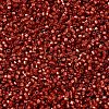MIYUKI Delica Beads X-SEED-J020-DB2173-3