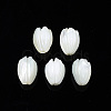 Natural Trochid Shell/Trochus Shell Beads SSHEL-T014-33-1