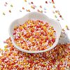 Baking Paint Glass Seed Beads SEED-S042-05A-07-2