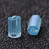 Two Cut Glass Seed Beads CSDB163-2