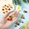 25Pcs 5 Styles Handmade Lampwork Pendants PALLOY-YW00073-5