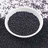 MIYUKI Round Rocailles Beads SEED-G009-RR0171-2