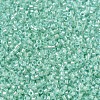 MIYUKI Delica Beads SEED-JP0008-DB1707-3