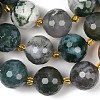 Natural Moss Agate Beads Strands G-C249-A08-16mm-5