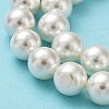 Shell Pearl Bead Strands X-BSHE-L026-03-8mm-6