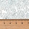 Transparent Colours Glass Seed Beads SEED-P007-02A-09-4