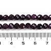 Natural Ruby Beads Strands G-P553-G01-04-6