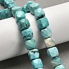 Dyed Natural Howlite Beads Strands G-H078-C28-01-2