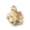 Alloy Enamel Pendants ENAM-CJC0003-25A-2