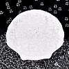 FGB Transparent Glass Seed Beads SEED-N013-01B-13-1
