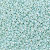 TOHO Round Seed Beads SEED-TR11-PF2116-2