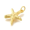Brass Pendants KK-U072-17G-2
