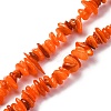 Natural Freshwater Shell Beads Strands BSHE-I016-01F-1
