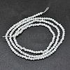 Natural Rainbow Moonstone Beads Strands G-O186-D02-2
