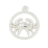 Twelve Constellations Alloy Pendants PALLOY-Q006-01A-S-1