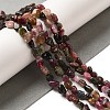Natural Multicolor Tourmaline Beads Strands G-L608-A01-01-2