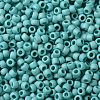 TOHO Round Seed Beads SEED-JPTR08-0413F-2