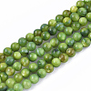 Freshwater Shell Beads Strands X-SHEL-S276-32D-1