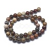 Natural Petrified Wood Beads Strands LS-G-I254-07B-2