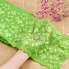 Stretch Elastic Lace Trim OCOR-TAC0006-02K-5