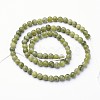 Natural Gemstone Beads GSR4MMC032-3