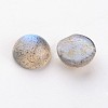 Natural Labradorite Cabochons X-G-D804-02-2