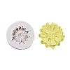 Food Grade Silicone Molds DIY-E018-39-1
