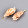 Brass & Natural Mitra Shell Big Pendants SHEL-Q029-17KCG-2