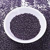 MIYUKI Delica Beads SEED-X0054-DB0455-2