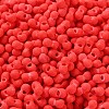 Rubberized Style Glass Seed Beads SEED-Z003-01E-3