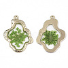 Epoxy Resin Pendants LS-X-RESI-T045-028B-3
