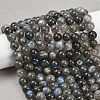 Natural Labradorite Beads Strands G-Z133-A01-10mm-02-1