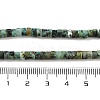 Natural African Turquoise(Jasper) Beads Strands X-G-A220-B03-01-5