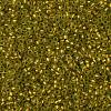 TOHO Round Seed Beads SEED-XTR11-0996FM-2