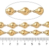 304 Stainless Steel Insects Link Chains CHS-U004-01B-G-3