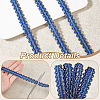 12M Polyester Wavy Edged Lace Trim OCOR-WH0088-27-4